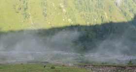 Vegetationsaufnahmen Grastal 2020: gestörte vs. ungestörte Flächen